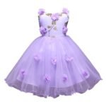 Girl's Fit And Flare Knee Length Sleeveless Floral Applique Party Dress