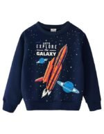 Boys Regular Fit Sweatshirt