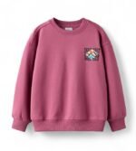Boy's Oversized Sweatshirt | Stylish Printed Crew Neck Pullover for Kids | Age 6–16 Years